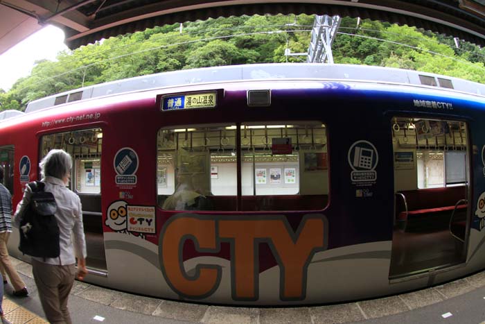 御在所（三重県三重郡菰野町と滋賀県東近江市の境にある）_c0177785_530665.jpg