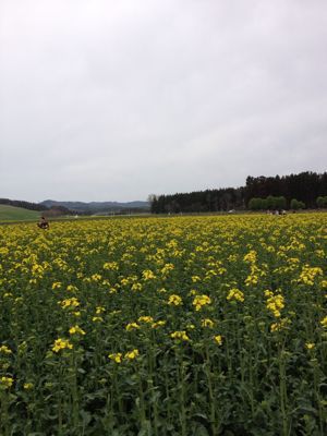 c0234987_114840.jpg