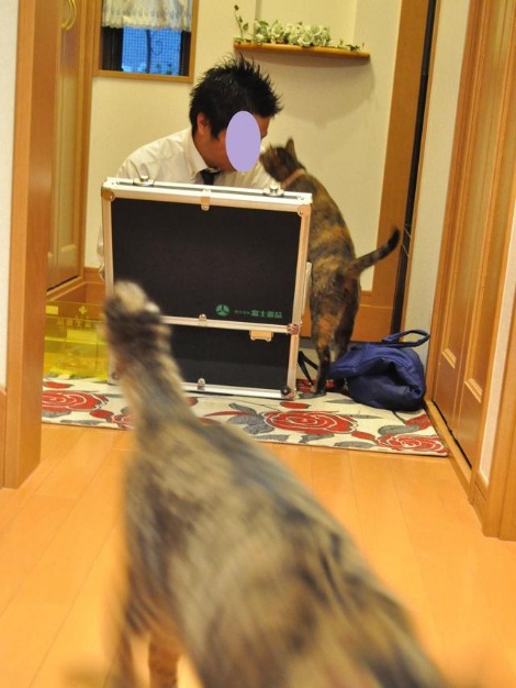 猫好き_a0126590_2346118.jpg