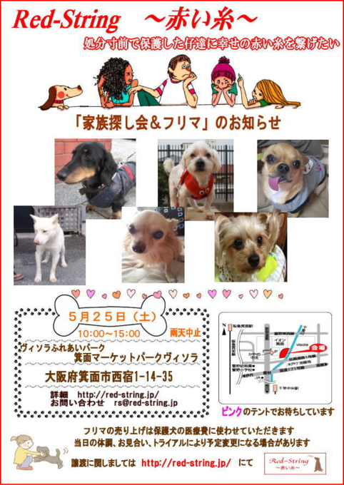 b0237894_1513010.png