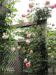 c0117898_2135549.jpg