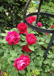 c0117898_214972.jpg