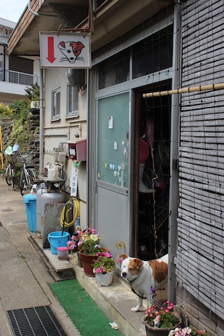 神話の島、沼島へ渡る_c0306400_1533457.jpg