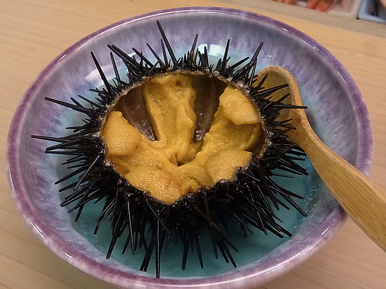 すし処 かね田で食べた久慈のうに_e0061902_10384332.jpg