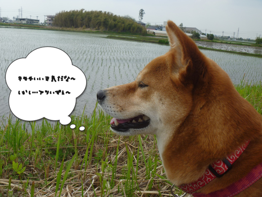 b0283404_1605465.png