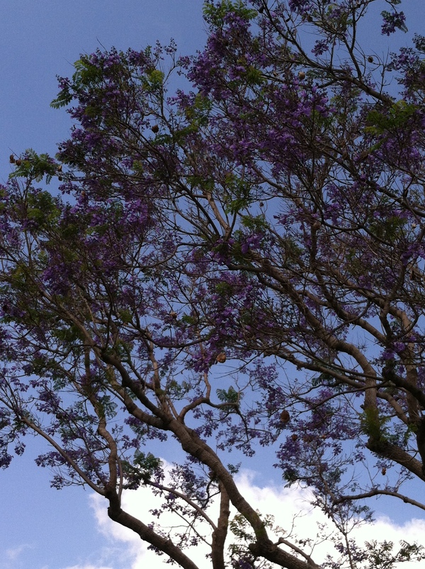 a0144811_2512124.jpg