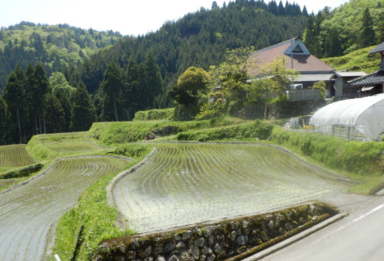 日本の棚田百選 畑の棚田_e0048413_2042930.jpg