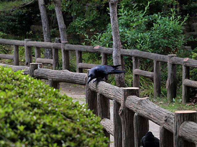 f0051915_22371898.jpg