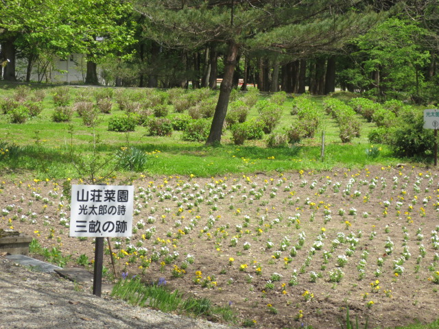 f0248616_10105666.jpg