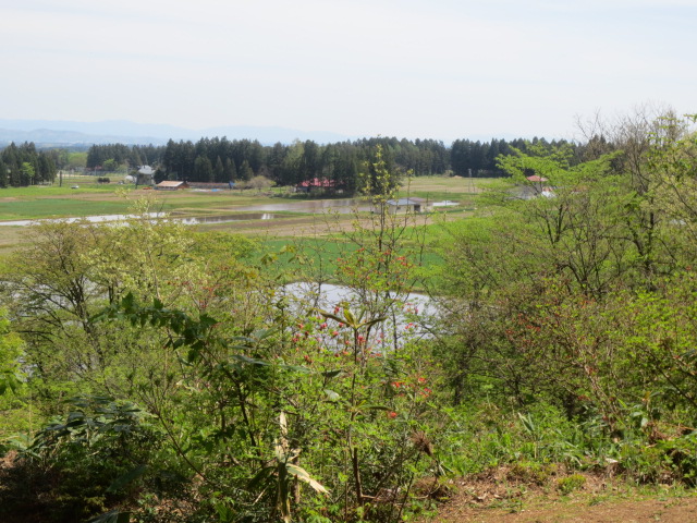 f0248616_10213080.jpg