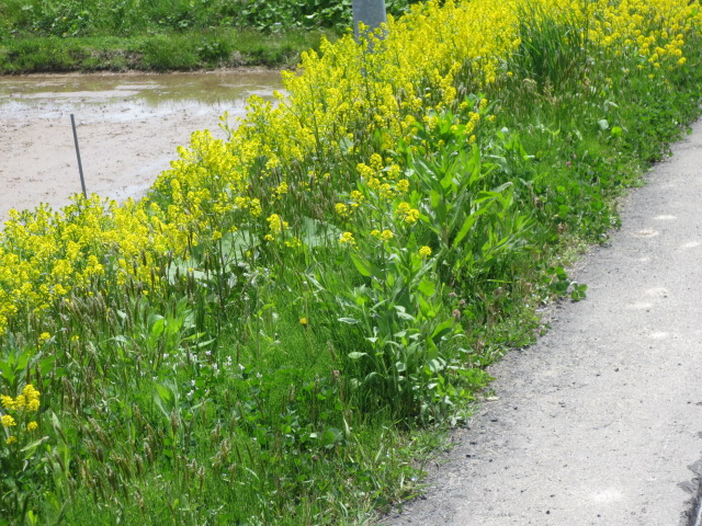f0248616_1112535.jpg