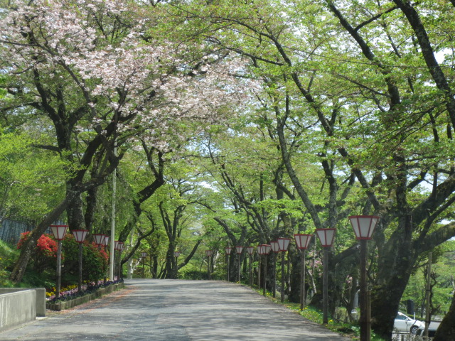 f0248616_8595868.jpg