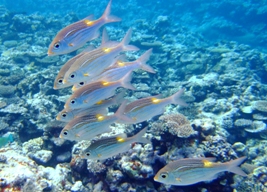 a0043520_23363450.jpg