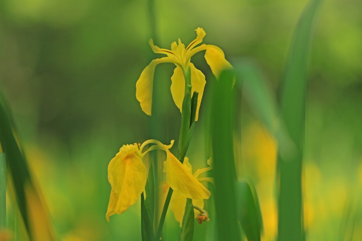 c0104227_1873367.jpg
