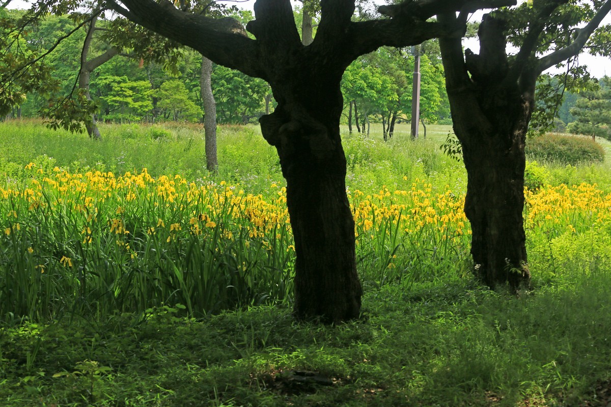 c0104227_1875837.jpg