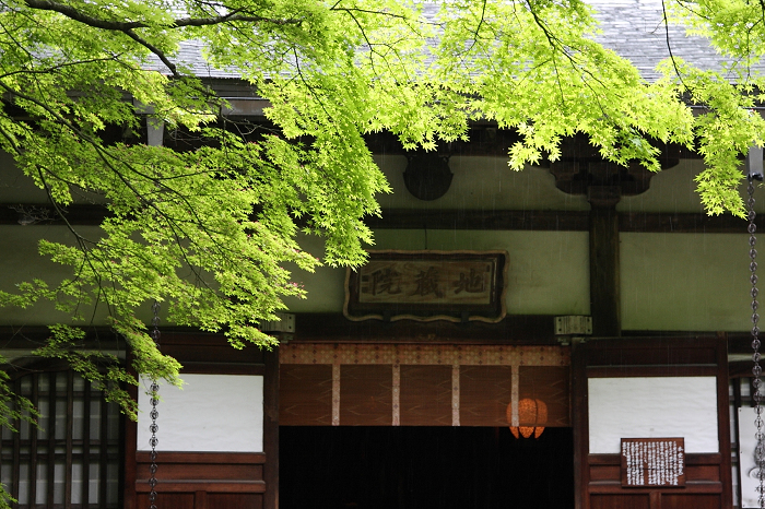 そうだ 京都、行こう。 －2013年初夏　地蔵院（前編）－_b0169330_23343491.jpg