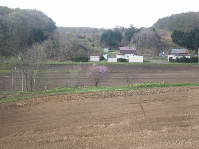 e0026331_8295471.jpg