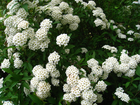 a0233432_02059.jpg