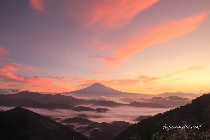 「富士山大好き～写真は最高」のyumesaki_annaiさん登場！_c0039735_1157170.jpg