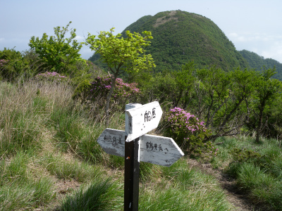 鶴見岳縦走路ミヤマキリシマ３～４分咲き、でも満足でした！_e0272335_20234333.jpg