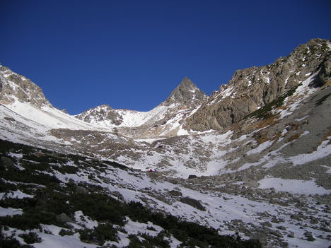 f0219043_8314416.jpg