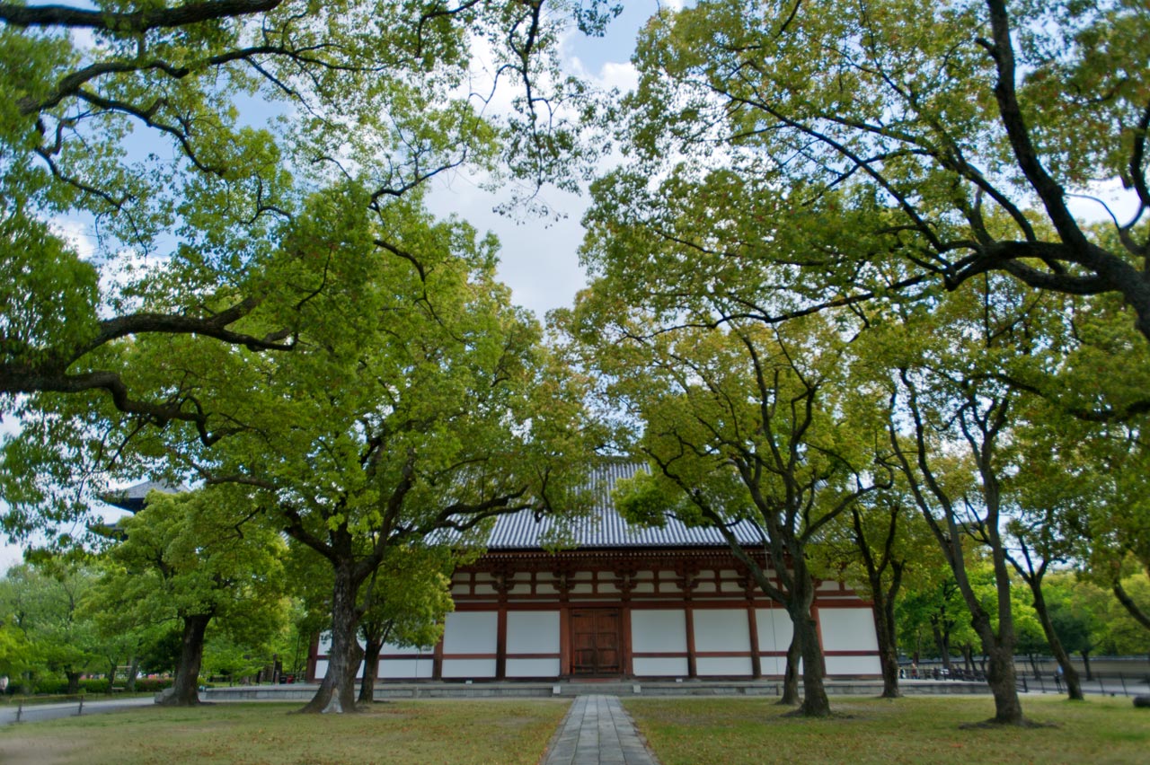 ◆東寺　２　京都府京都市南区_b0023047_543547.jpg