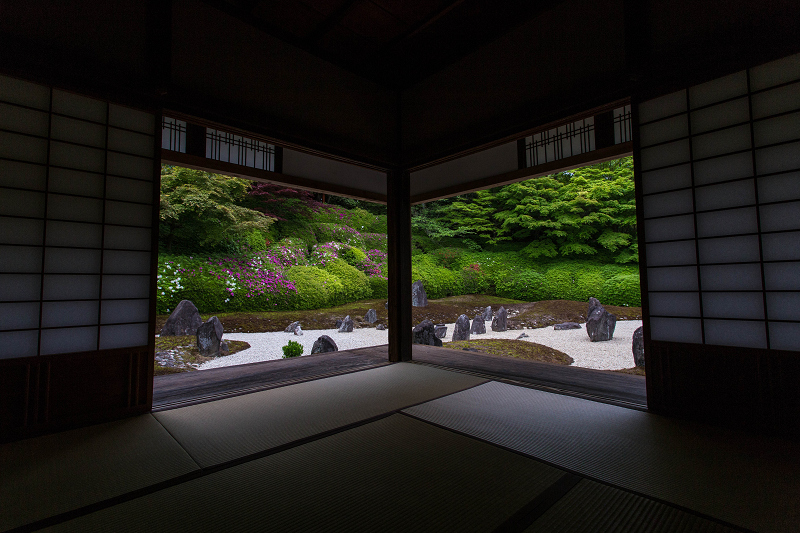 ツツジ咲く波心庭(光明院)_f0155048_863586.jpg