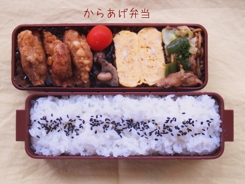 からあげ弁当_e0229350_16151574.jpg