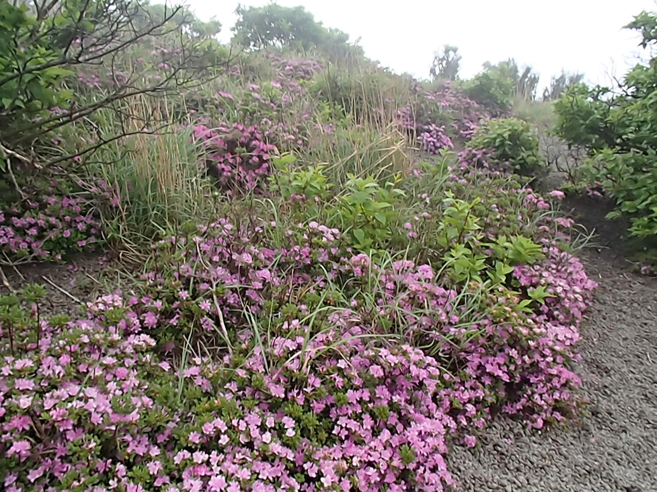 b0276758_13442620.jpg