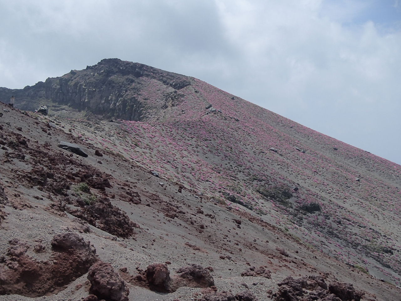 b0276758_13581252.jpg