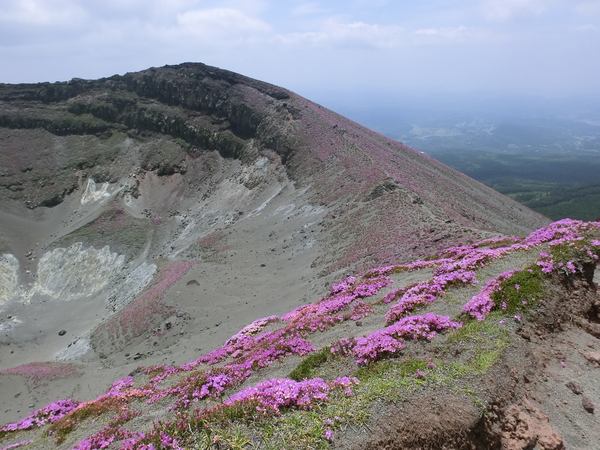 b0276758_141485.jpg