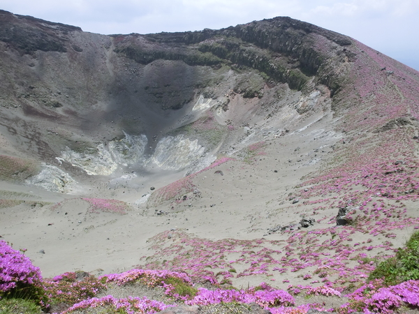 b0276758_1415279.jpg