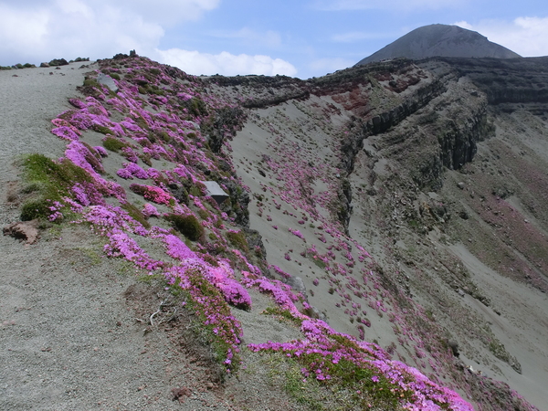 b0276758_1422347.jpg