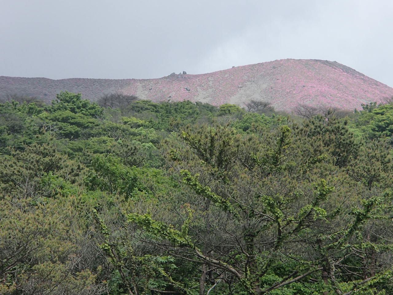 b0276758_1485268.jpg