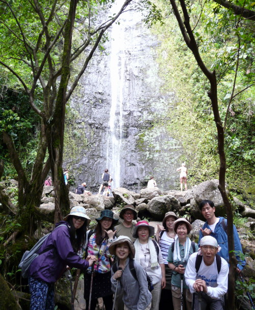 MANOA FALLS TRAIL_a0132260_14395274.jpg