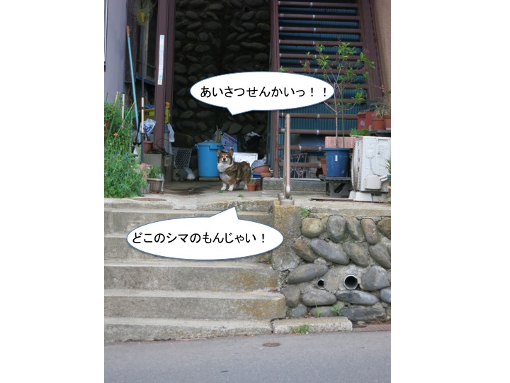 テリトリーの外_c0260460_18153875.jpg