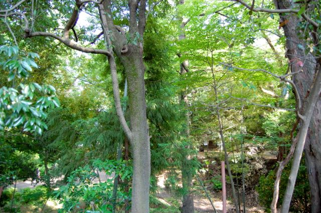 川越 喜多院_d0302970_1438593.jpg