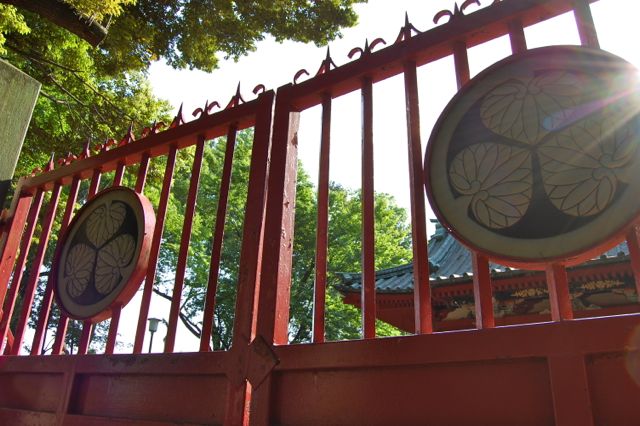 川越 喜多院_d0302970_14403925.jpg