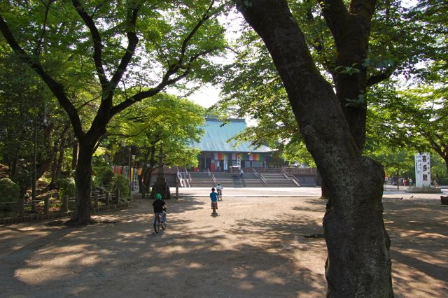 川越 喜多院_d0302970_14432186.jpg