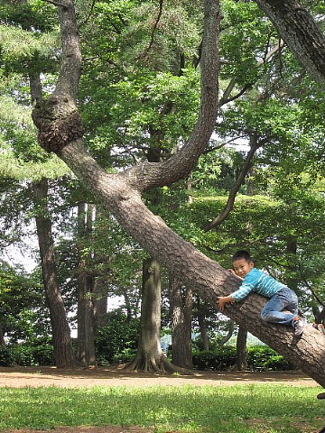 ５月19日は「食事力」の日。_b0141773_2335133.jpg