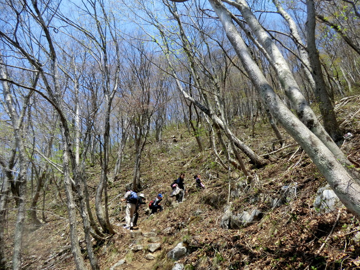 b0185573_1062912.jpg