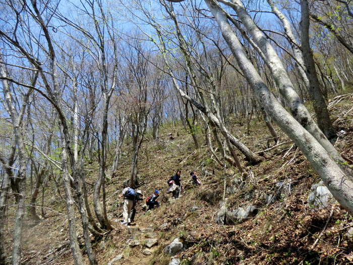 Ｎｏ289　奥美濃の花の山・舟伏山_b0185573_1062912.jpg