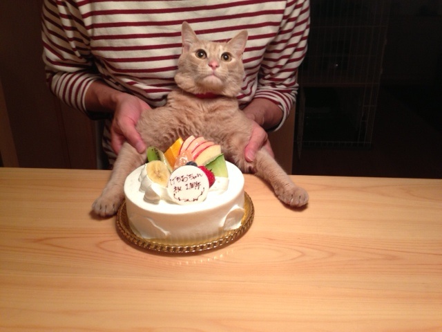 生クリーム好き_c0234975_8141585.jpg
