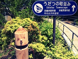 Cafe探して・・・・_f0172281_1133558.jpg