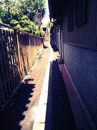 Cafe探して・・・・_f0172281_12352076.jpg