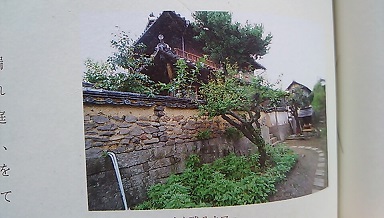 Cafe探して・・・・_f0172281_12375454.jpg