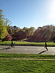 LOVE and the CITY_006_c0160283_0105714.gif