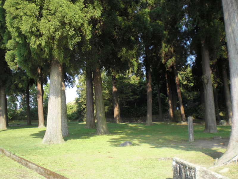 c0013687_7552783.jpg