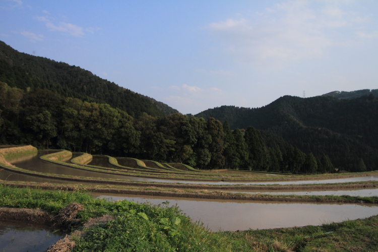 樒原の鎧田_e0051888_038283.jpg