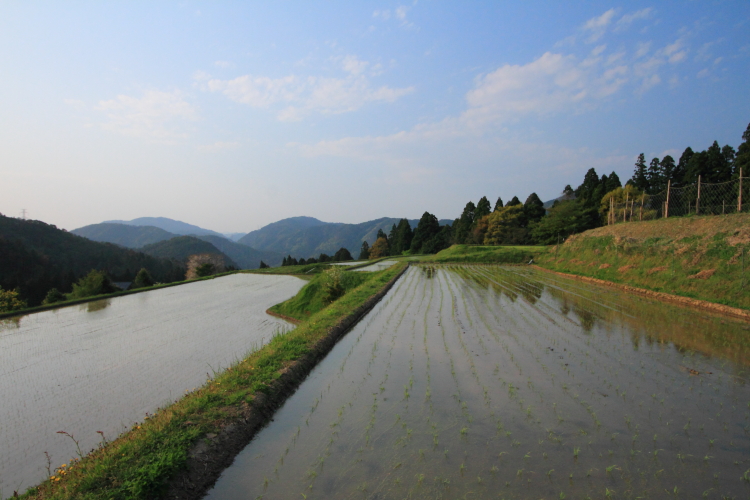 樒原の鎧田_e0051888_038412.jpg